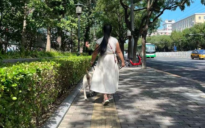 认虐犬打犬爬完泰山后狗狗体检健康希望它能尽早回到身边pg电子模拟器“带导盲犬夜爬泰山”当事人再发声：否(图2)