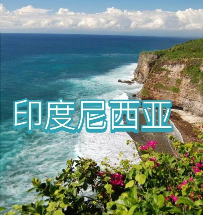 国国际电商(印尼)产业博览会pg电子中文模拟器2025中