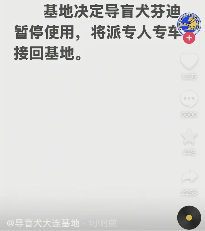 犬雨夜爬泰山引争议当事人回应pg电子平台